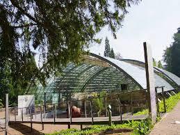 Ruines des bains romains